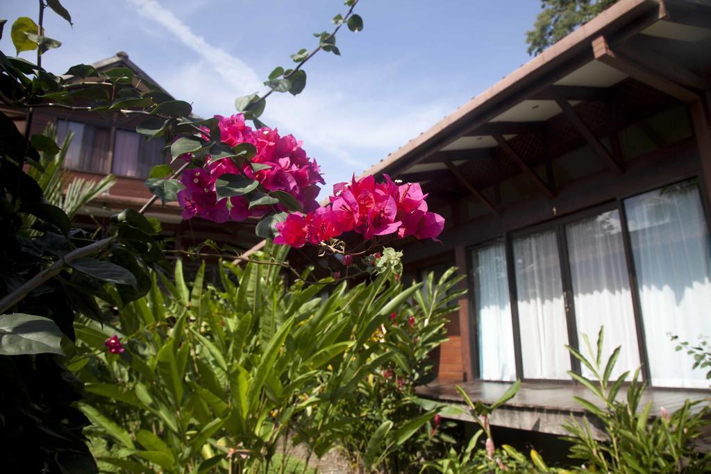 Puerto Viejo de Talamanca Kenaki Lodge מראה חיצוני תמונה