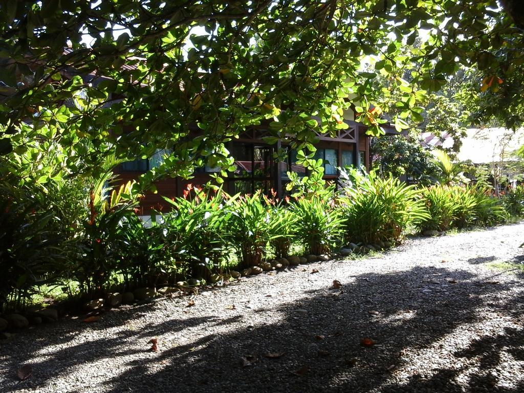 Puerto Viejo de Talamanca Kenaki Lodge מראה חיצוני תמונה