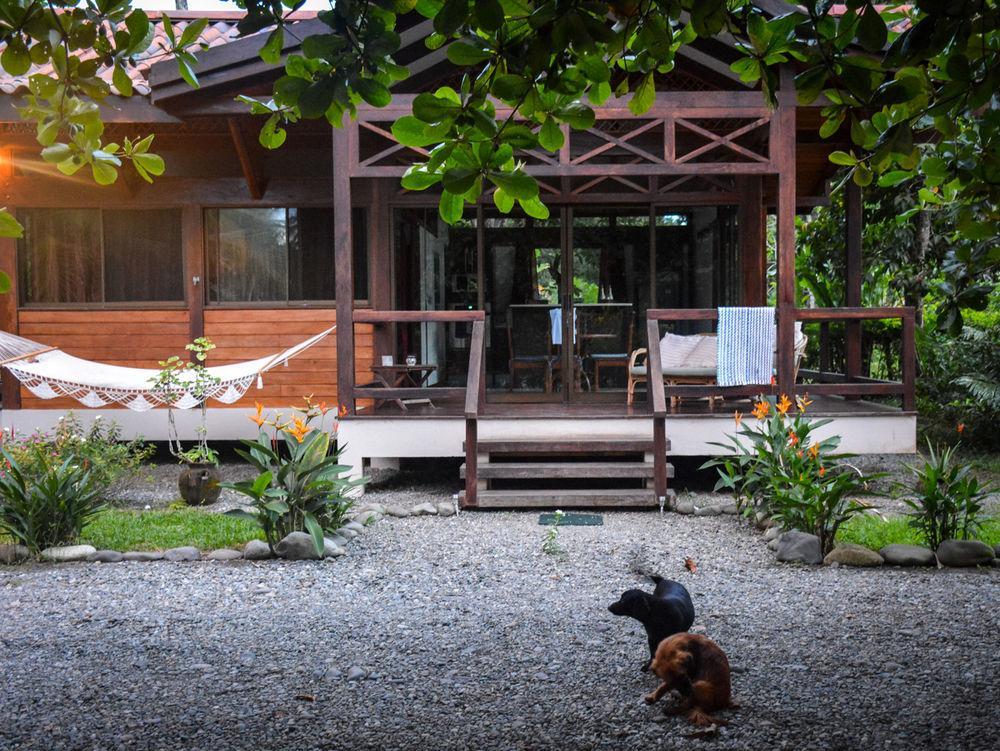 Puerto Viejo de Talamanca Kenaki Lodge מראה חיצוני תמונה